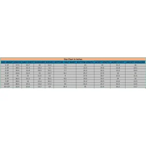 Boys Resham Riwaaz - Maroon - Image 4